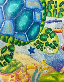 Aadya Palagummi – sea turtles
