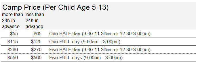 martin luther king art camp, presidents day art camp, spring art camp, thanksgiving camp, winter camp, veterans day camp