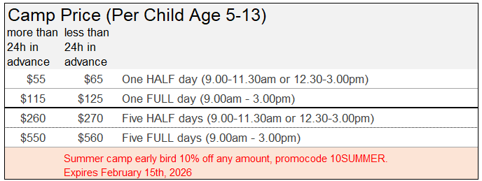 martin luther king art camp, presidents day art camp, spring art camp, thanksgiving camp, winter camp, veterans day camp, summer camp early bird, summer art camp 2026