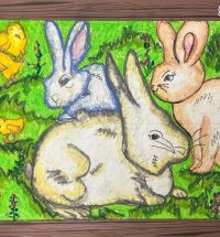 Visual Art - Pre-Basic Level