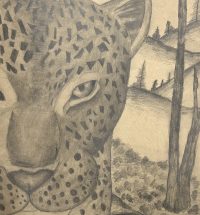 aiden yang - leopard