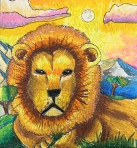 vito - lion chilling